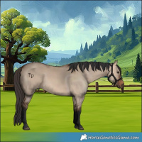 Horse Color:Bay Dun