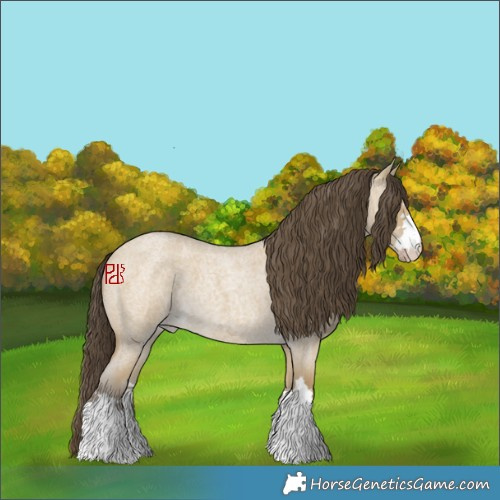 Horse Color:Classic Cream Champagne Roan Dun