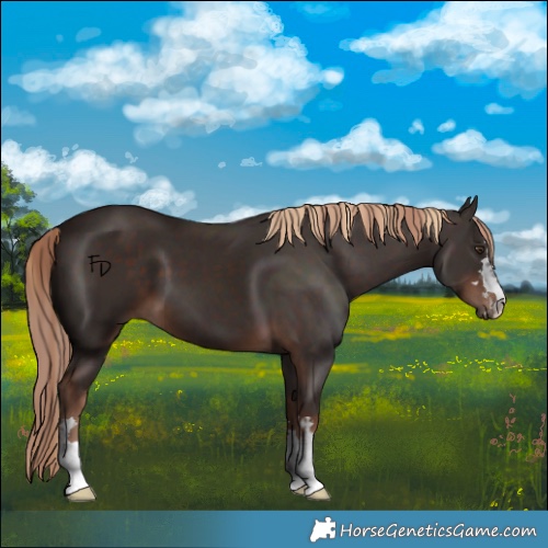 Horse Color:Liver Chestnut  and Liver Chestnut 