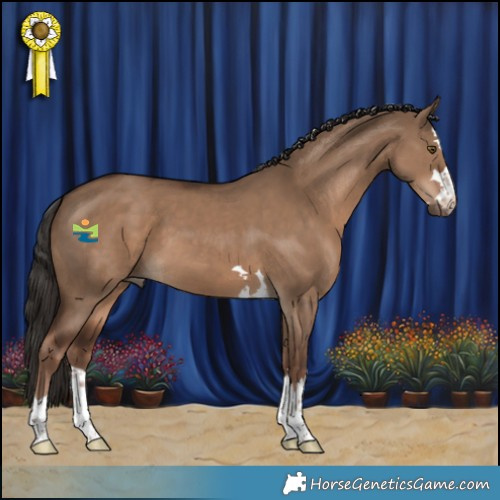 Horse Color:Liver Red Dun 