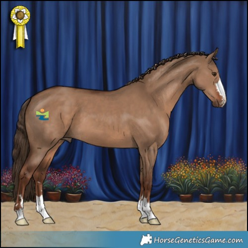 Horse Color:Liver Red Dun 