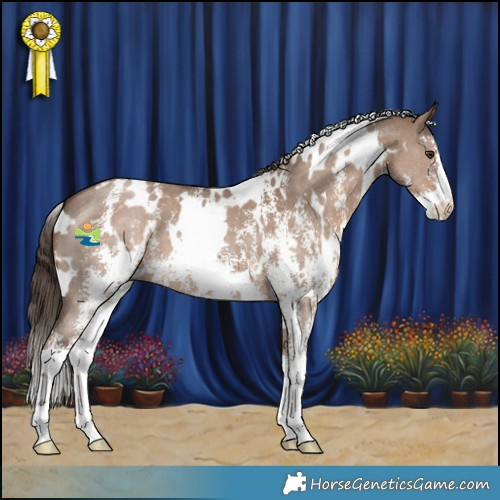 Horse Color:White Spotted Liver Red Dun Sabino 