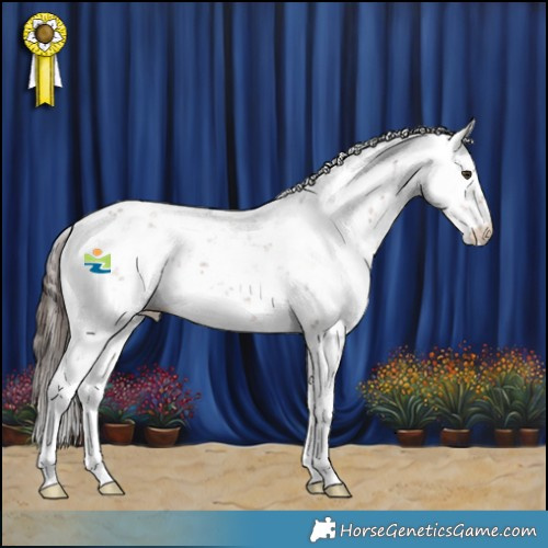 Horse Color:Liver Chestnut Sabino 