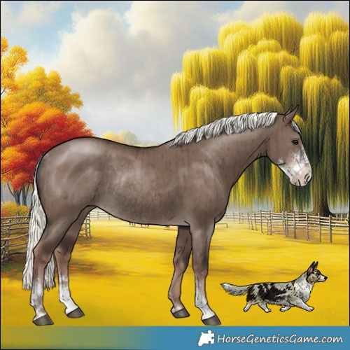 Horse Color:Liver Red Dun Mushroom Sabino Rabicano Brindle