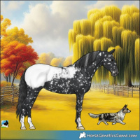 Horse Color:Black Snowcap