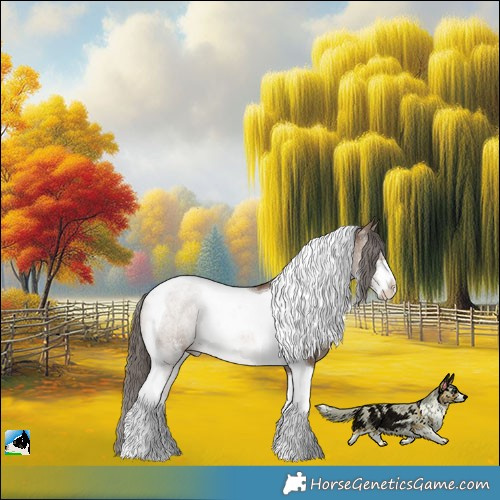 Horse Color:Liver Red Dun Sabino Tobiano Rabicano 