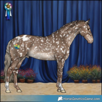 Horse Color:Liver Red Dun Snowflake Varnish Rabicano 