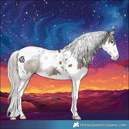 Horse Color:Silver Smoky Grullo Splash Tobiano 