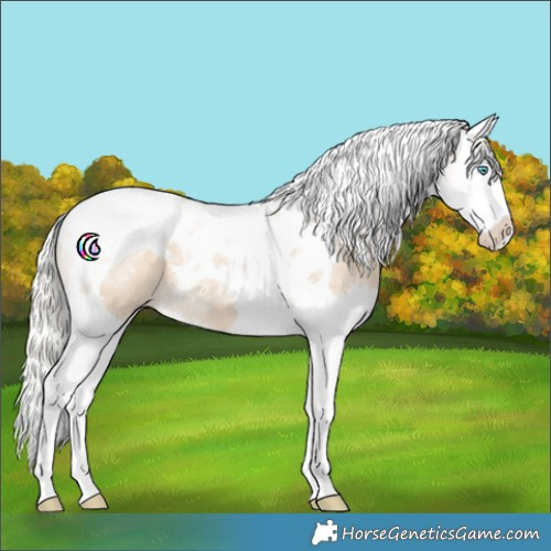 Horse Color:Silver Smoky Creme Dun Splash Tobiano 