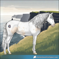 Horse Color:Silver Smoky Creme Dun Splash Tobiano