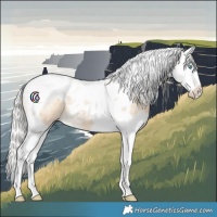 Horse Color:Silver Smoky Creme Dun Splash Tobiano 