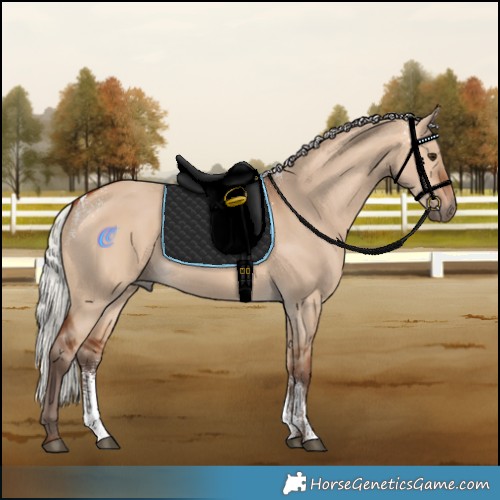 Horse Color:Powder White Silver Bay Dun Rabicano 