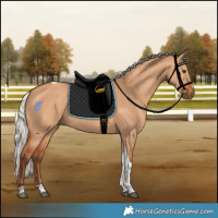 Horse Color:Silver Bay Dun Tobiano Rabicano