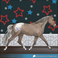 Horse Color:Silver Grullo Varnish