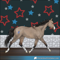 Horse Color:Brown Dun 