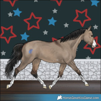 Horse Color:Brown Dun