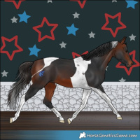 Horse Color:Bay Tobiano