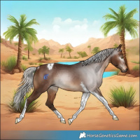 Horse Color:Gray Silver Bay Tobiano Rabicano