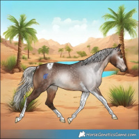 Horse Color:Gray Silver Bay Tobiano Rabicano 