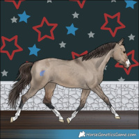 Horse Color:Brown Dun Varnish