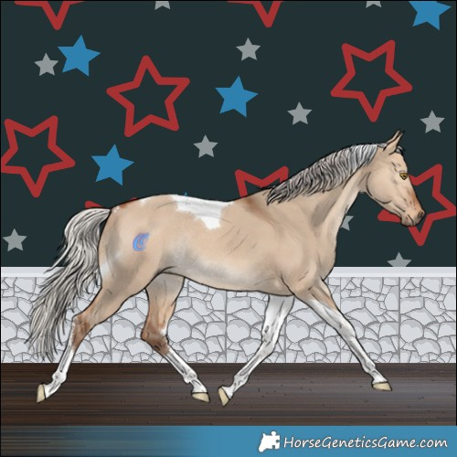 Horse Color:Silver Bay Dun Tobiano Rabicano 