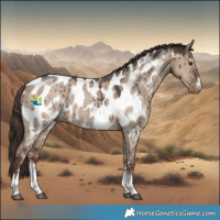 Horse Color:Liver Red Dun Sabino Blanket Brindle 
