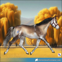 Horse Color:Bay Onyx Sabino 