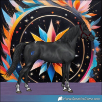 Horse Color:Black Tobiano 