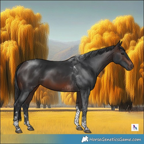 Horse Color:Brown Tobiano 