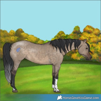 Horse Color:Brown Dun Tobiano Rabicano 