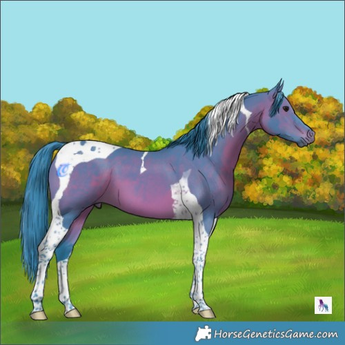 Horse Color:Watercolor Brown Tobiano 