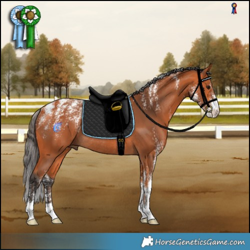 Horse Color:Powder White Bay Rabicano 