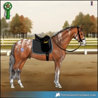 Horse Color:Powder White Bay Rabicano