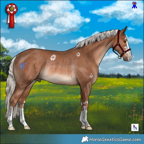 Horse Color:Chestnut Mushroom Rabicano 