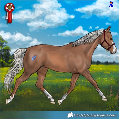 Horse Color:Chestnut Mushroom 