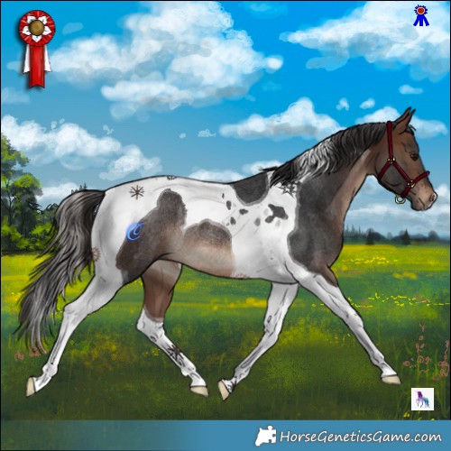 Horse Color:Brown Tobiano Rabicano 