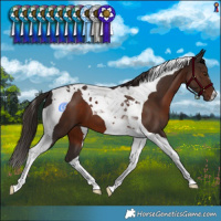 Horse Color:Liver Chestnut Tobiano