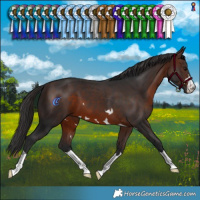 Horse Color:Brown 