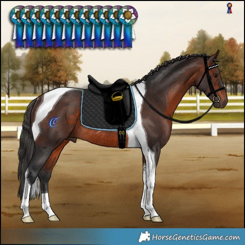 Horse Color:Brown Tobiano Rabicano 