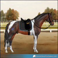 Horse Color:Brown Tobiano Rabicano