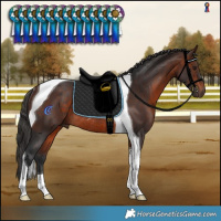 Horse Color:Brown Tobiano Rabicano 