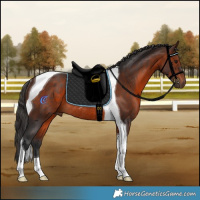 Horse Color:Brown Tobiano Rabicano