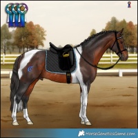 Horse Color:Brown Tobiano Rabicano