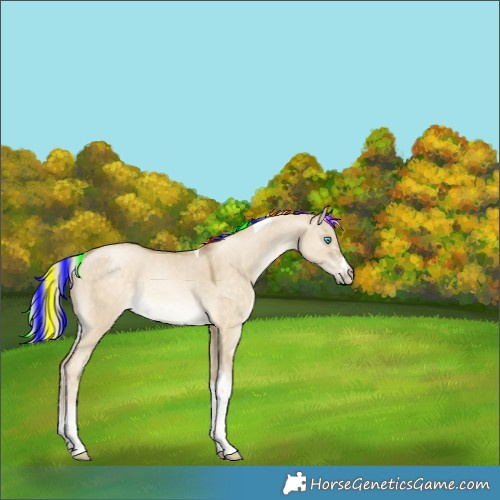 Horse Color:Painted Chocolate Silver Buckskin Pearl Dun Sabino Tobiano 