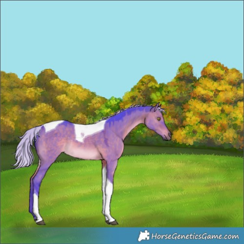 Horse Color:Watercolor Silver Brown Dun Tobiano Rabicano 