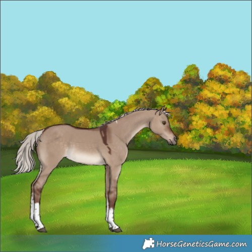 Horse Color:White Spotted Chocolate Silver Brown Dun Tobiano 
