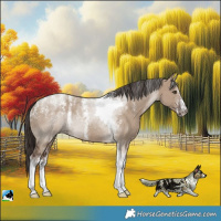 Horse Color:Powder White Liver Red Dun Tobiano 