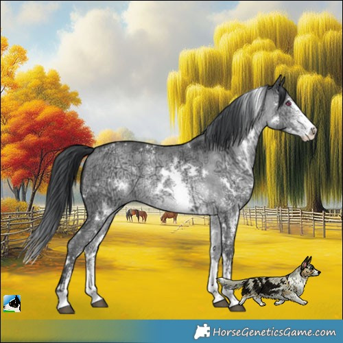 Horse Color:White Spotted Brown Chinchilla Ice Sabino 