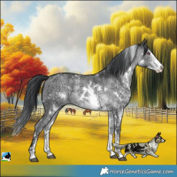 Horse Color:White Spotted Brown Chinchilla Ice Sabino