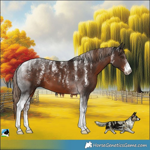 Horse Color:Powder White Liver Chestnut Tobiano 
